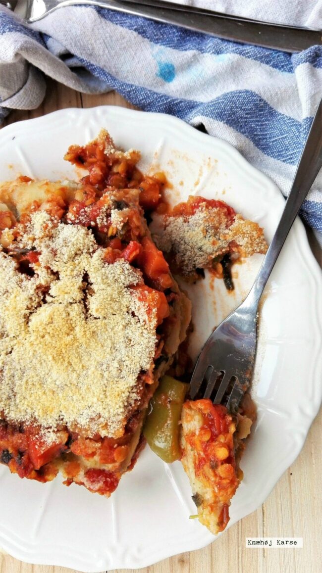 2017-01-1413.18.51 Vegansk lasagne