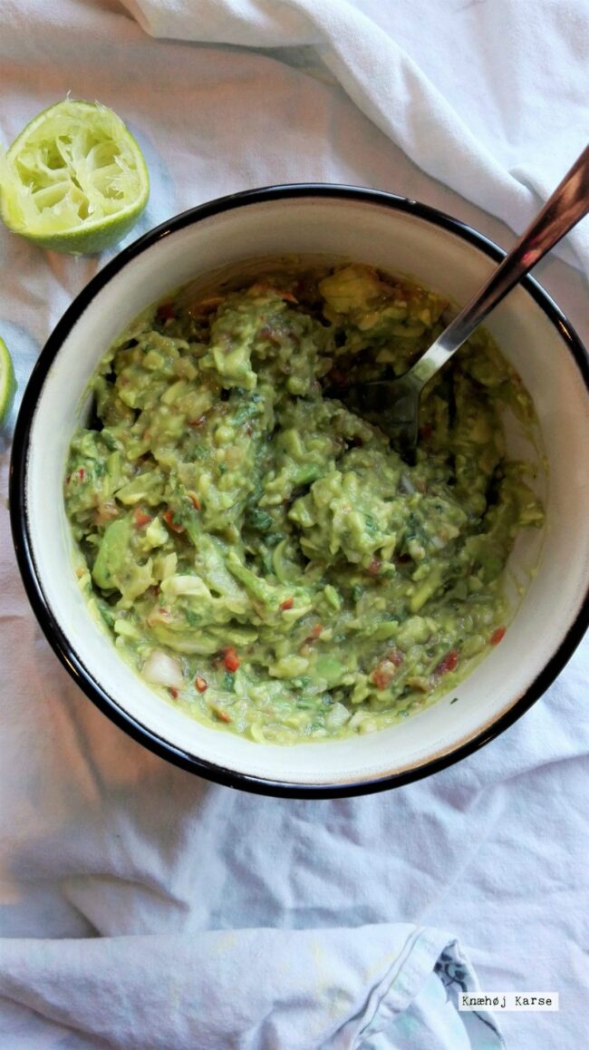 2017-01-1913.08.23 Guacamole