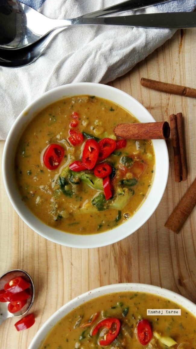 2017-03-1313.32.41 Grøntsagscurry