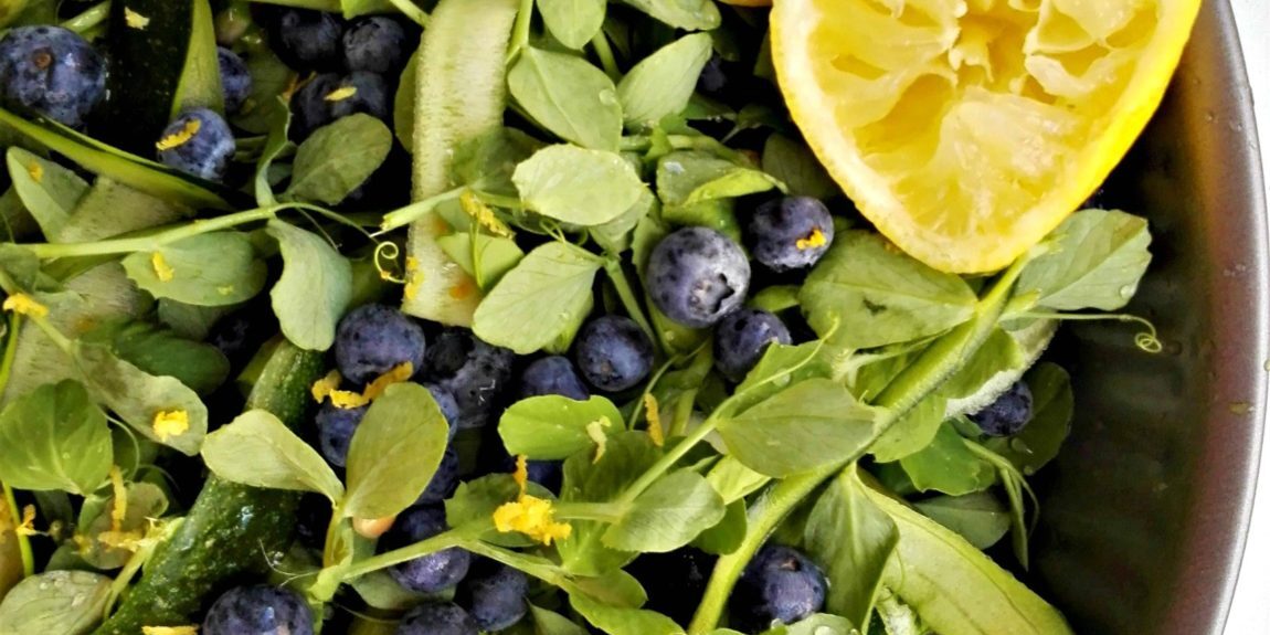 2017-05-2017.23.26 Sommersalat med ærteskud og blåbær