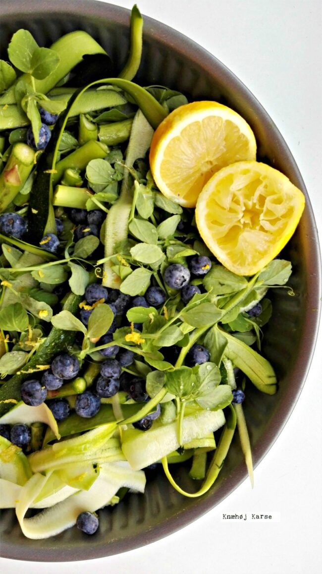 2017-05-2017.23.26 Sommersalat med ærteskud og blåbær