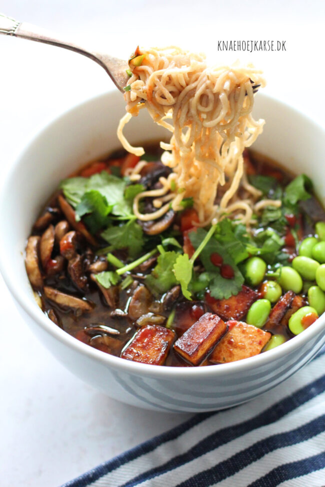 2019-09-04 17.52.18 Vegansk pho - den bedste og nemmeste opskrift