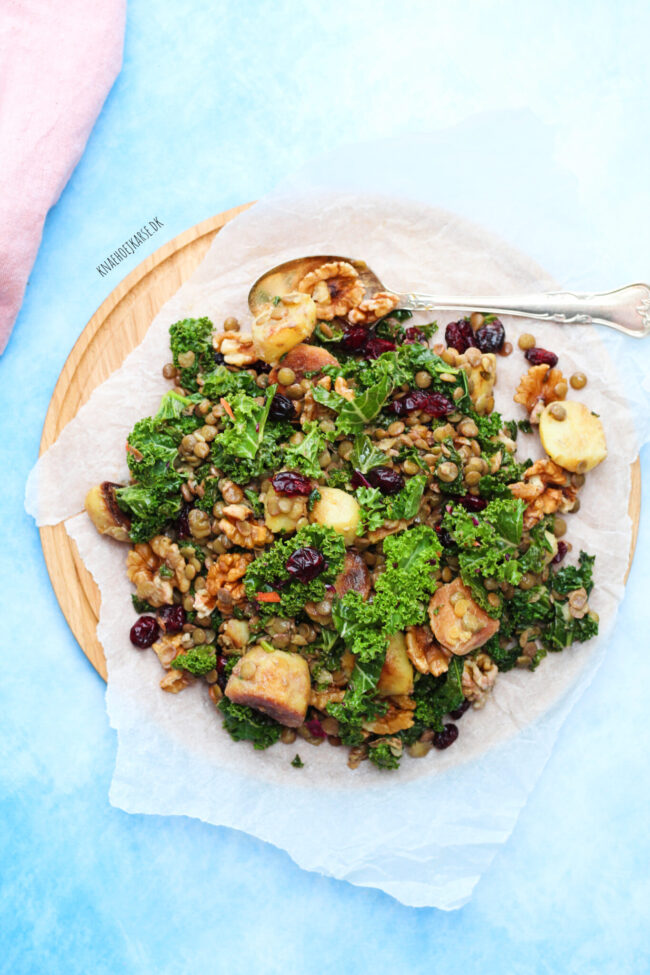 Lun linsesalat med kartofler og tørrede tranebær