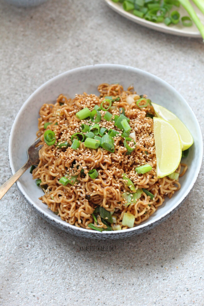 lynhurtige nudler lynhurtige soyastegte nudler