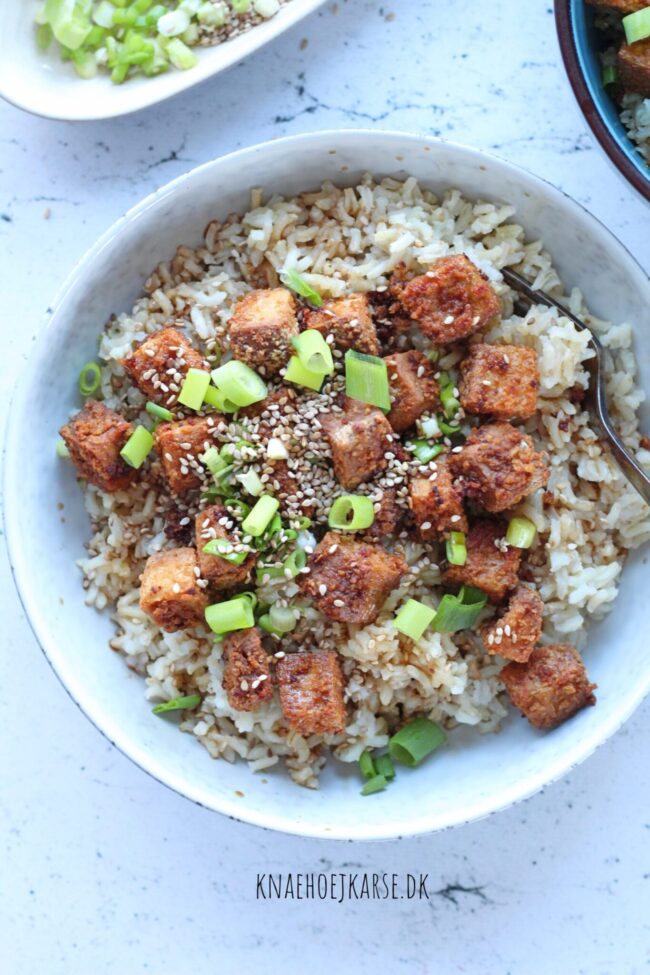sprødstegt tofu med teriyaki sauce